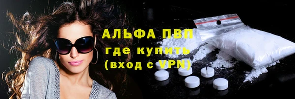 стаф Нефтекумск