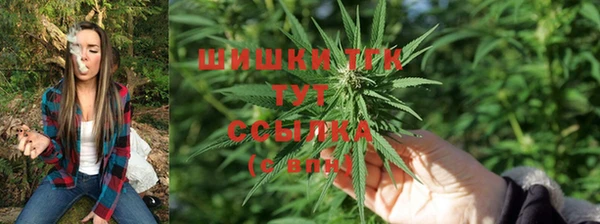 стаф Нефтекумск