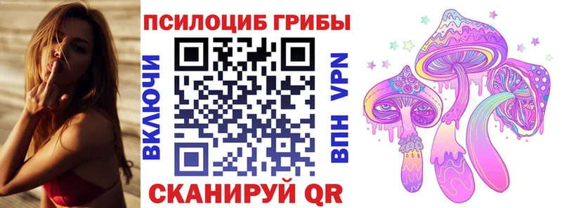 Псилоцибиновые грибы Psilocybe Ковдор